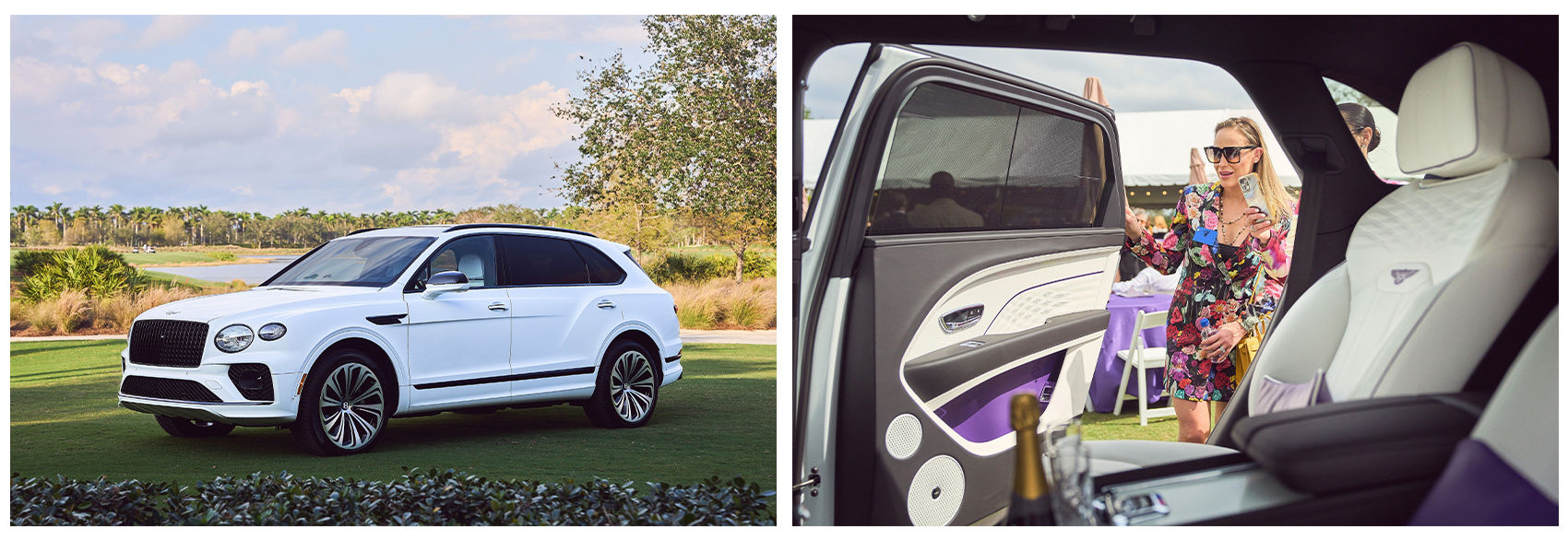 Bentley Image Collage